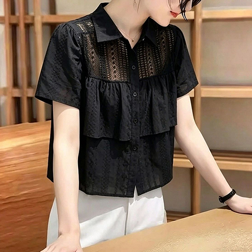 펀칭 레이스 캉캉 반팔 블라우스