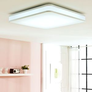 ���� 55W 4�� �Žǵ�/���\