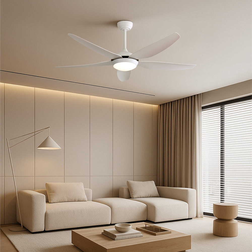 LED   Ǹ  142cm(56ġ)