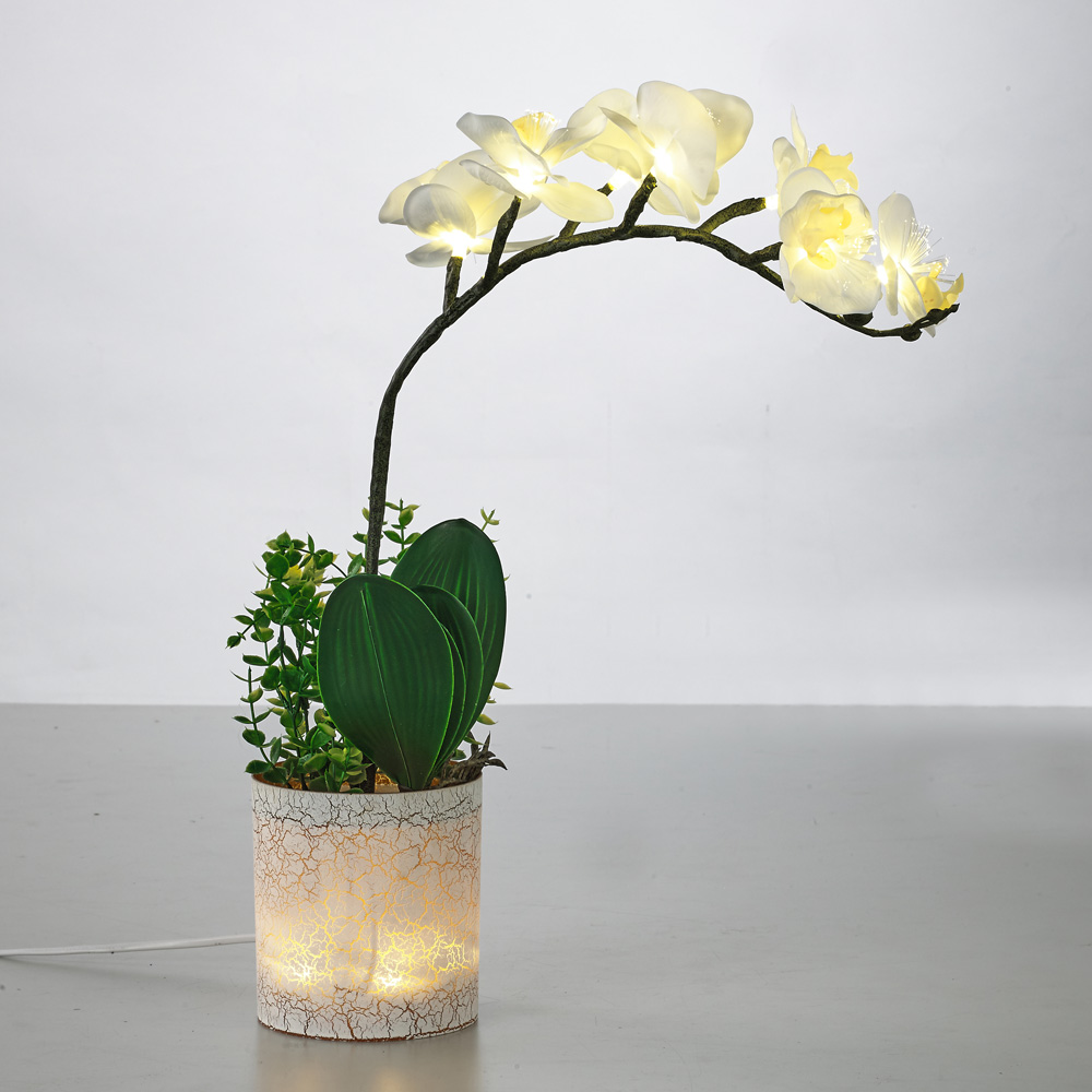 LED ���Ͼ� ��ȭ ���ĵ� ����