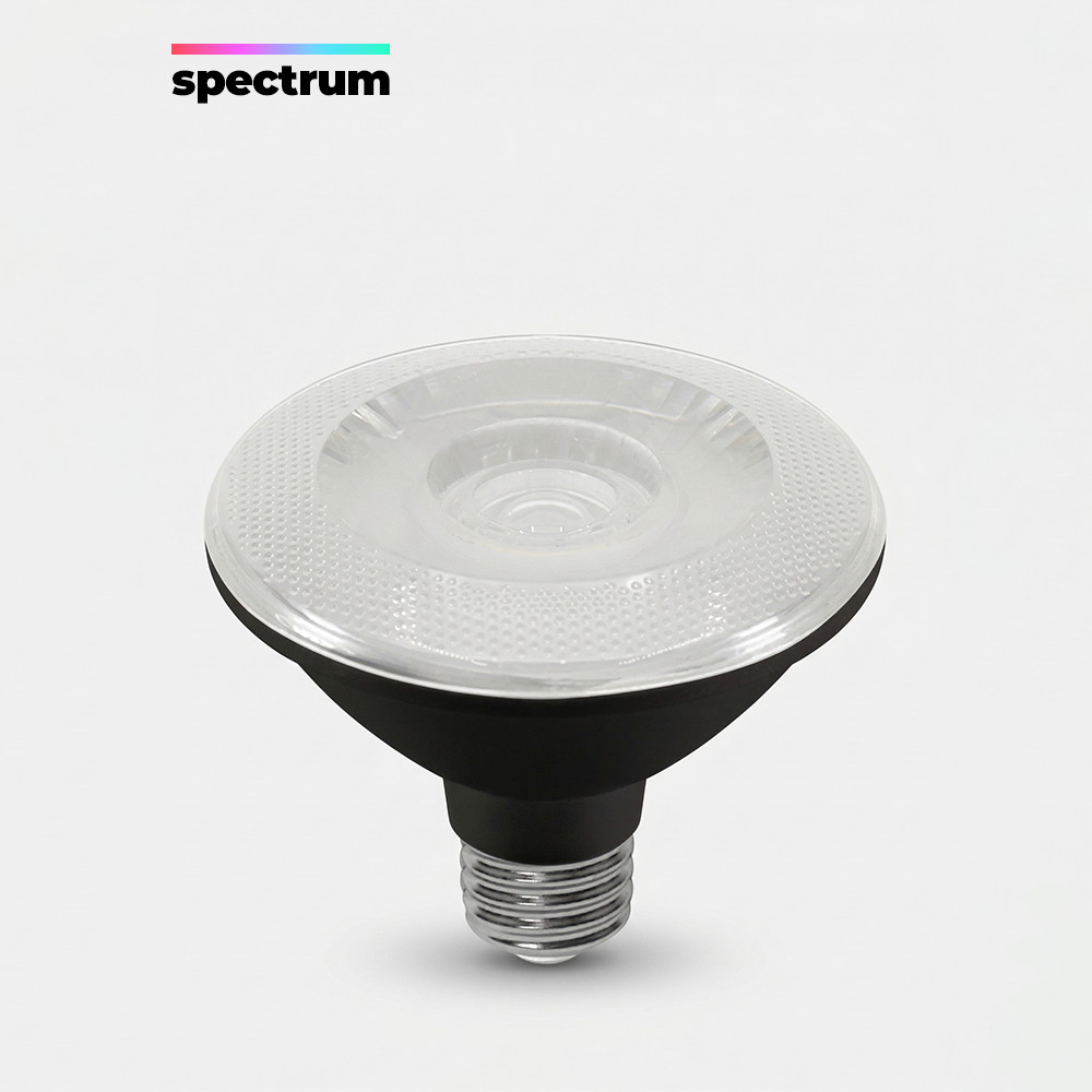 LED ����ȯ ����Ʈ�� PAR30 ���� 15W